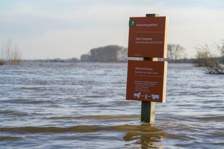 13299-bord-in-hoogwater@Twan-Teunissen-(Staatsbosbeheer)[105161]