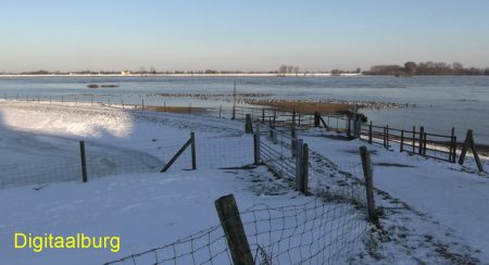 Uiterwaarden winter 2021 - kopie